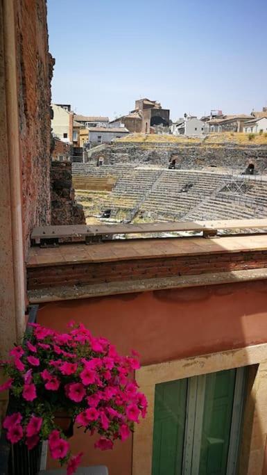 Finestre Sul Teatro - Catania - Parking Included Apartment Room photo
